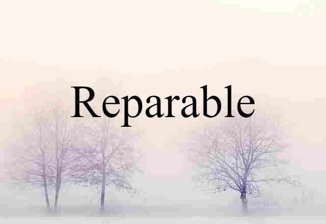 reparable