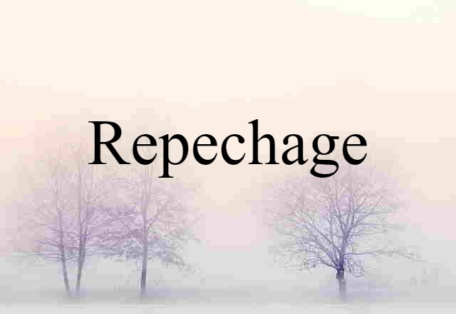 Repechage (noun) Definition, Meaning & Examples