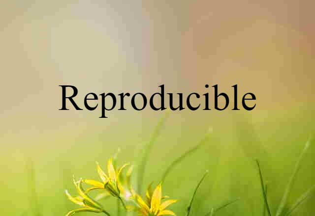 Reproducible (noun) Definition, Meaning & Examples