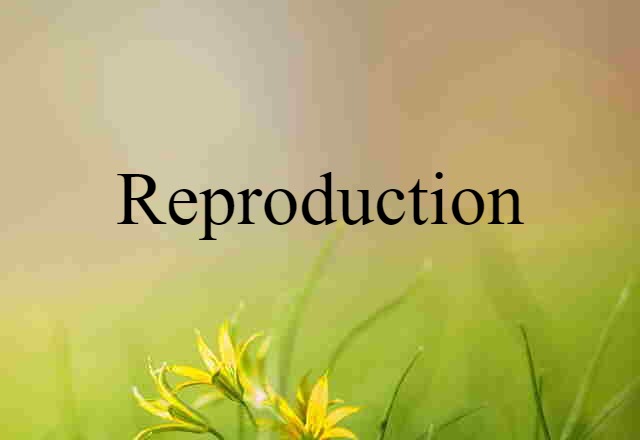 reproduction