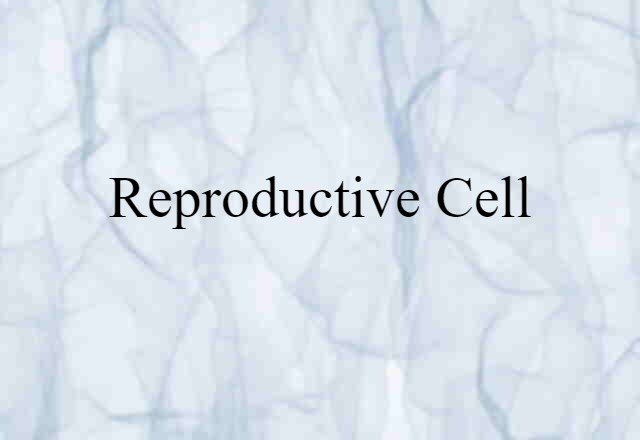 Reproductive Cell (noun) Definition, Meaning & Examples