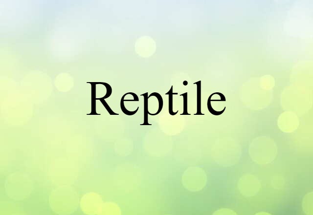 reptile