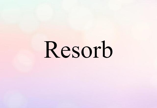 Resorb (noun) Definition, Meaning & Examples