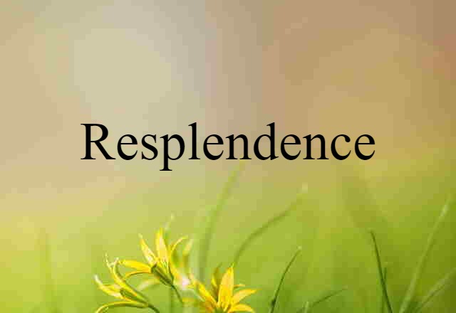 Resplendence (noun) Definition, Meaning & Examples