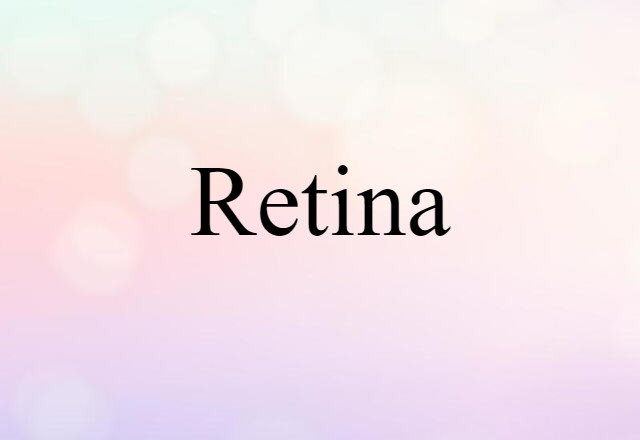 retina