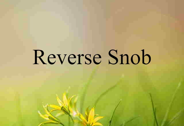 reverse snob