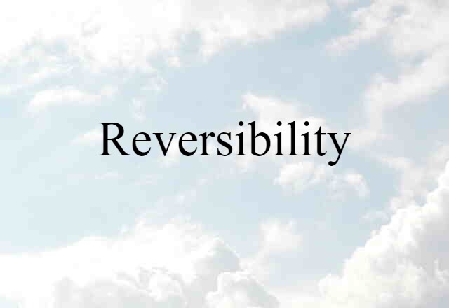 Reversibility (noun) Definition, Meaning & Examples