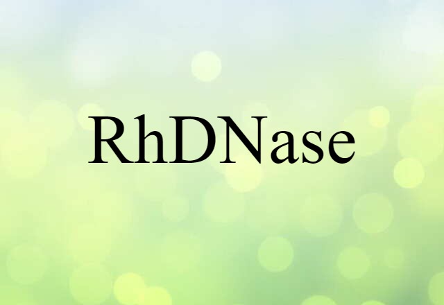 RhDNase (noun) Definition, Meaning & Examples