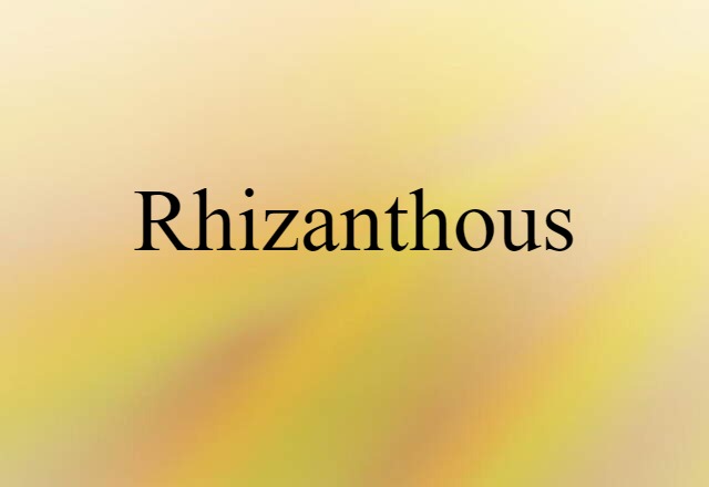 rhizanthous