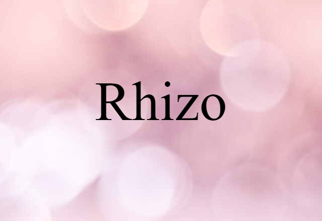 rhizo