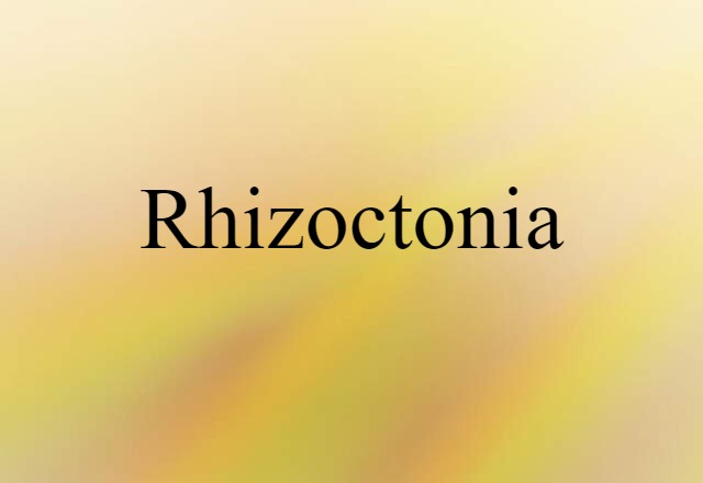 Rhizoctonia (noun) Definition, Meaning & Examples