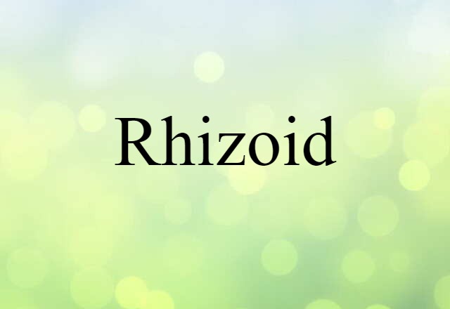 rhizoid