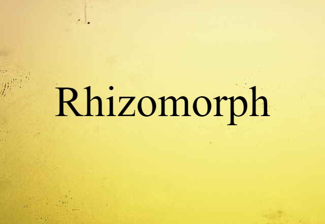 Rhizomorph (noun) Definition, Meaning & Examples