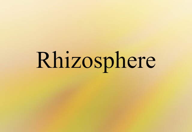 Rhizosphere (noun) Definition, Meaning & Examples