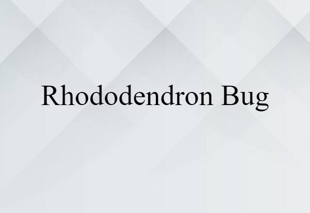 Rhododendron Bug (noun) Definition, Meaning & Examples