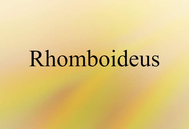 rhomboideus