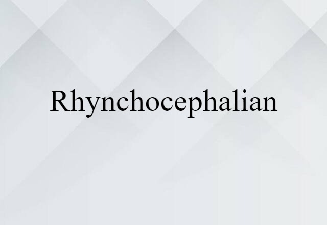 Rhynchocephalian (noun) Definition, Meaning & Examples