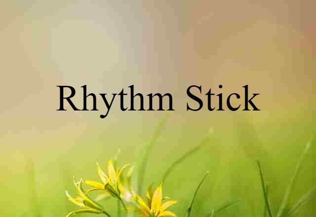 Rhythm Stick (noun) Definition, Meaning & Examples