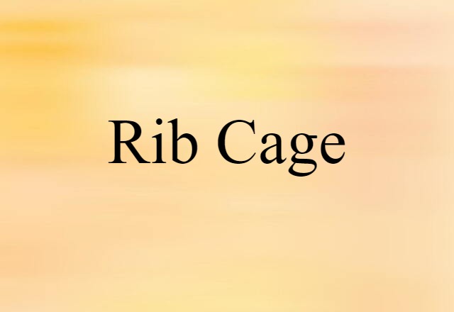 rib cage