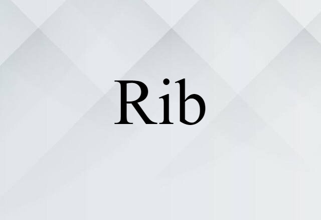 rib