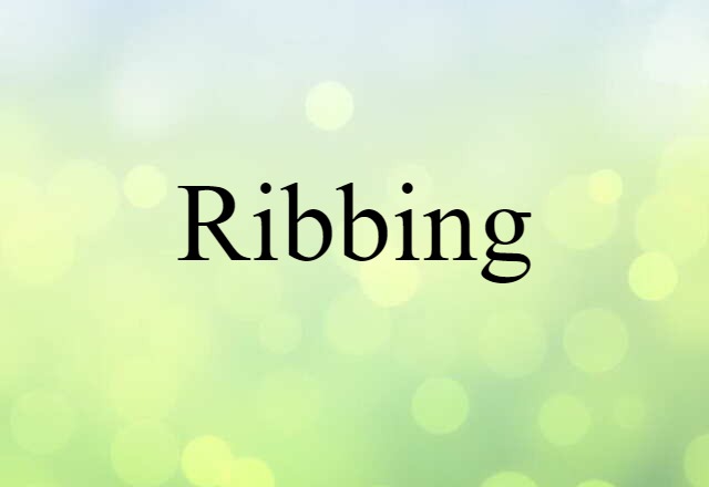 Ribbing (noun) Definition, Meaning & Examples