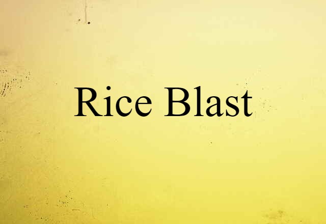 Rice Blast (noun) Definition, Meaning & Examples