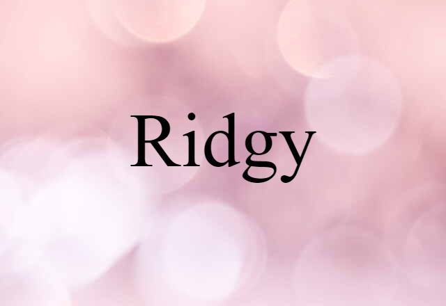 Ridgy (noun) Definition, Meaning & Examples