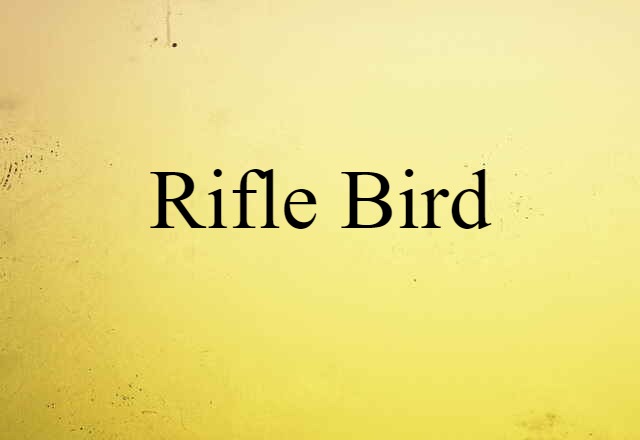 rifle bird