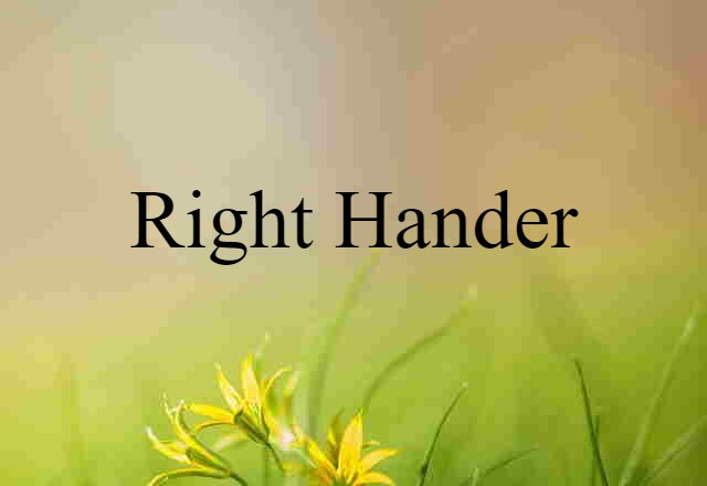 Right-hander (noun) Definition, Meaning & Examples