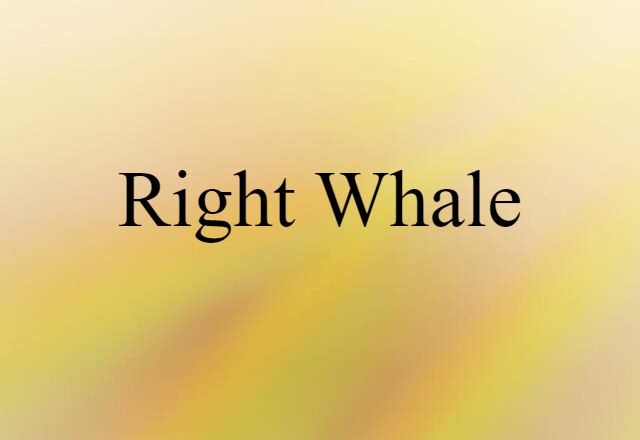 right whale