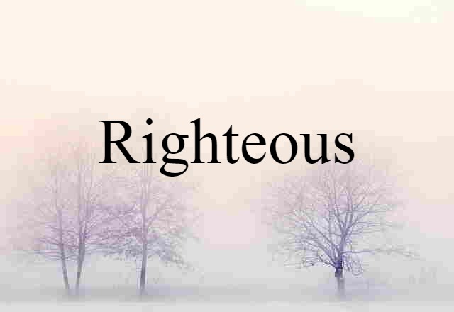 Righteous (noun) Definition, Meaning & Examples