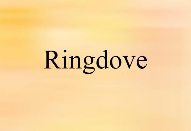 ringdove