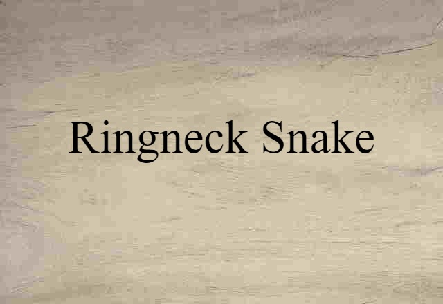 Ringneck Snake (noun) Definition, Meaning & Examples