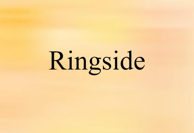 Ringside (noun) Definition, Meaning & Examples