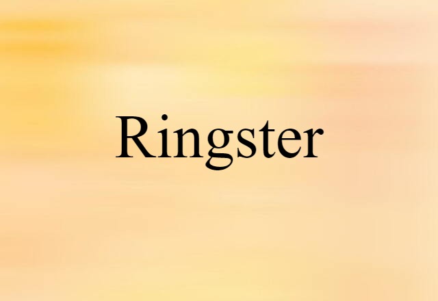 Ringster (noun) Definition, Meaning & Examples