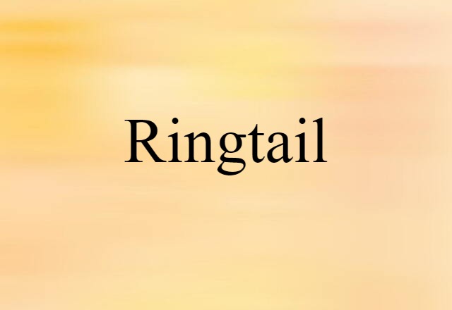 ringtail