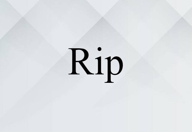 Rip (noun) Definition, Meaning & Examples