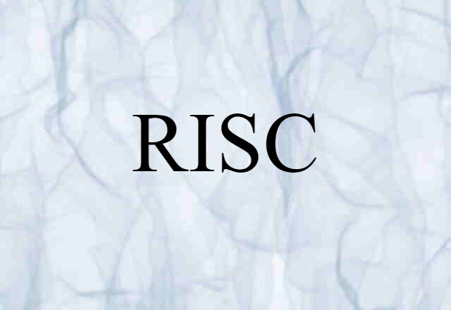 RISC (noun) Definition, Meaning & Examples