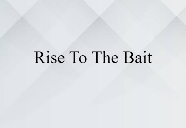 Rise To The Bait (noun) Definition, Meaning & Examples