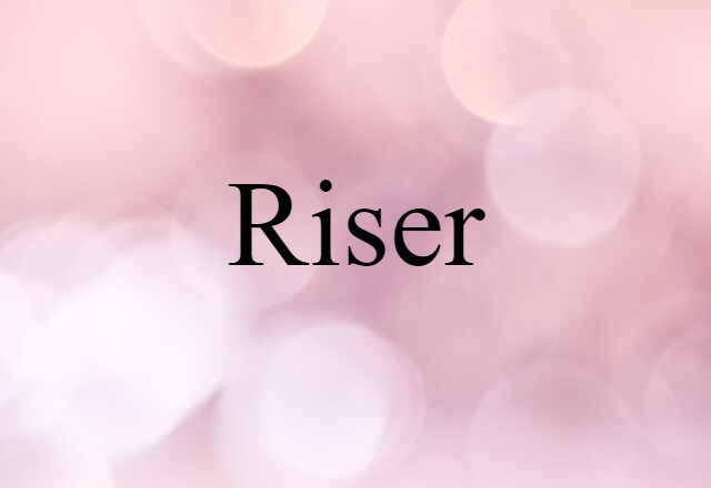 Riser (noun) Definition, Meaning & Examples