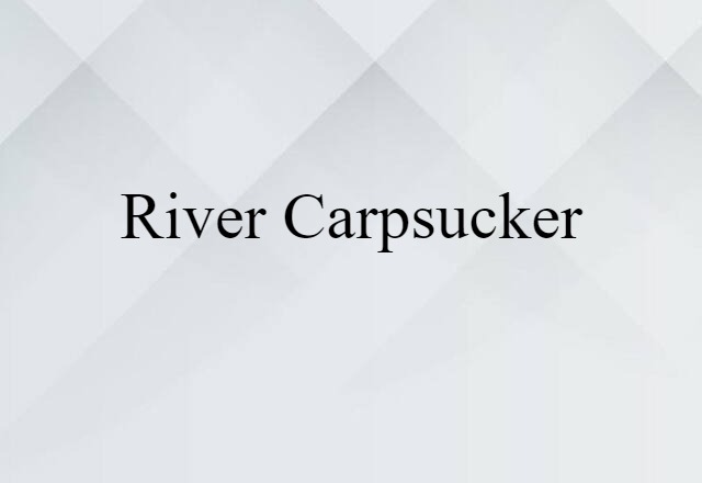 river carpsucker