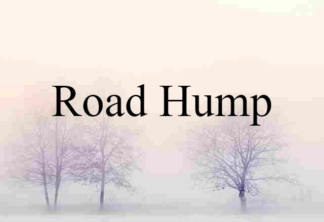 road hump