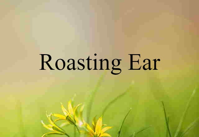 roasting ear