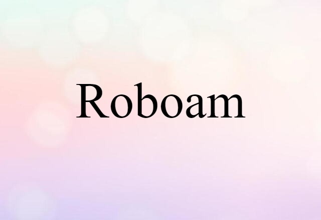 Roboam (noun) Definition, Meaning & Examples