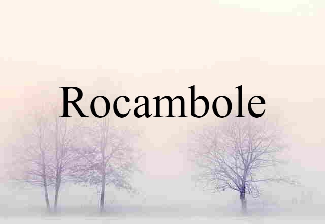 Rocambole (noun) Definition, Meaning & Examples