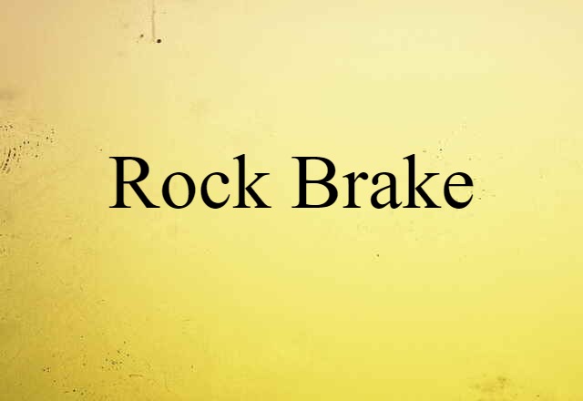 Rock Brake (noun) Definition, Meaning & Examples