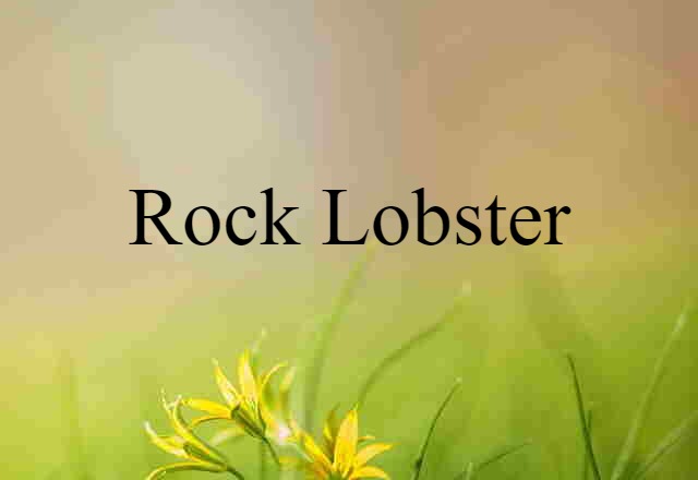 rock lobster