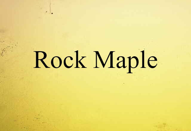 Rock Maple (noun) Definition, Meaning & Examples