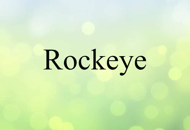 Rockeye (noun) Definition, Meaning & Examples