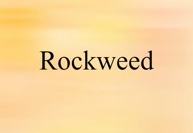 Rockweed (noun) Definition, Meaning & Examples